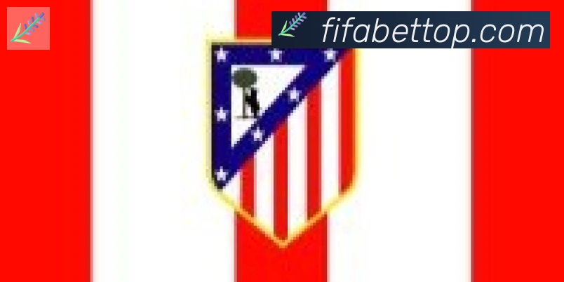 FIFA世界杯买球入口合作伙伴